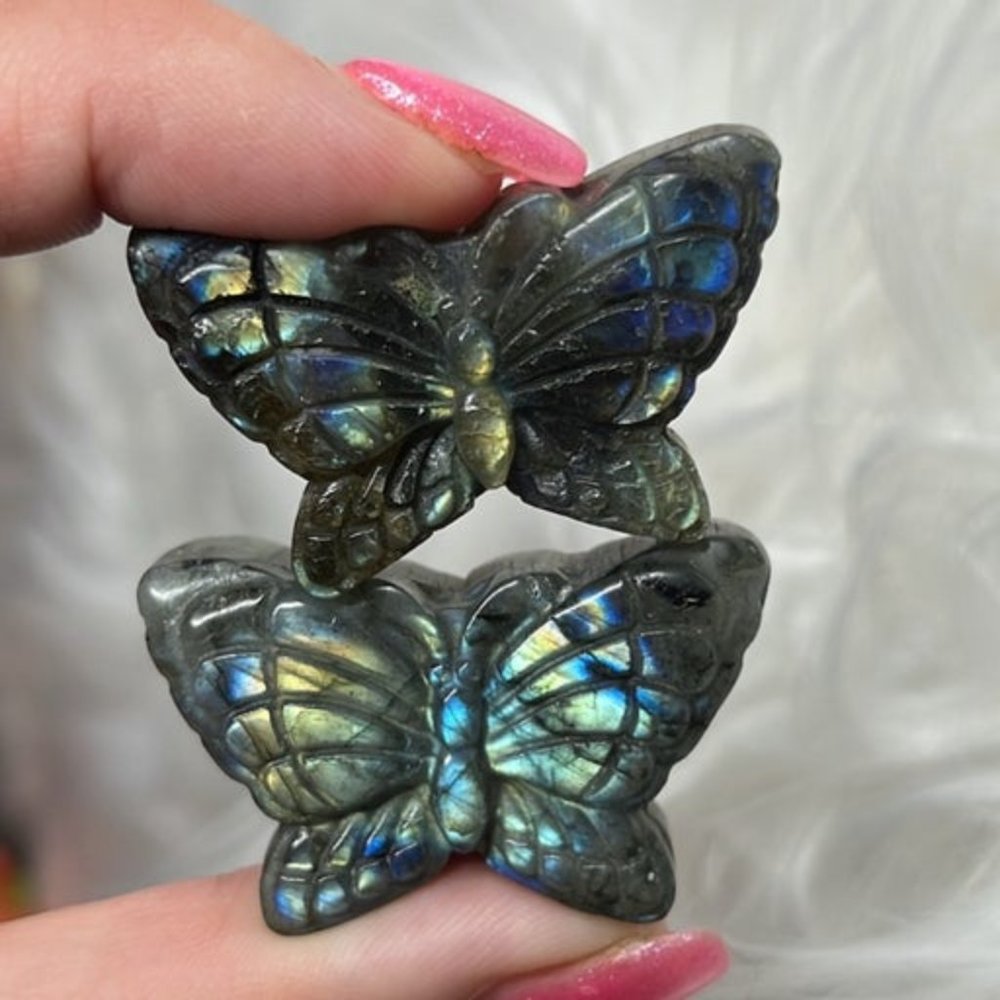 Labradorite Butterfly Carving Set
